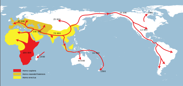 how-do-we-know-who-our-human-ancestors-were-youtube